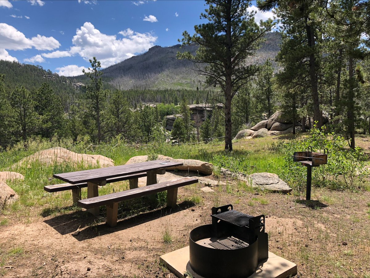 Medicine Bow-Routt NFs & Thunder Basin NG tweet media