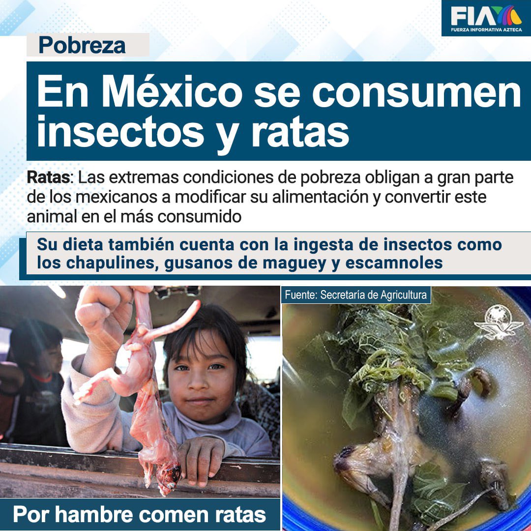 Mirko Guardo tweet media