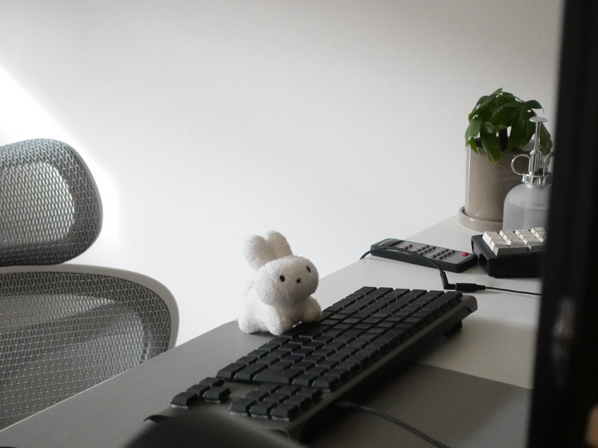 うさぎです tweet media