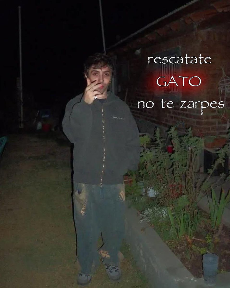 shitpostcarree's tweet photo. https://t.co/GFy8riT4Z6