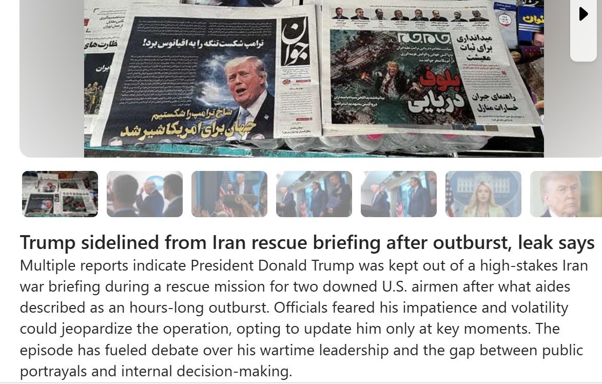 ⏳Towhee 🌏☮️ tweet media