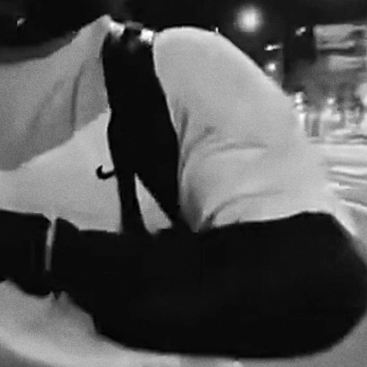 정국⋆ tweet media