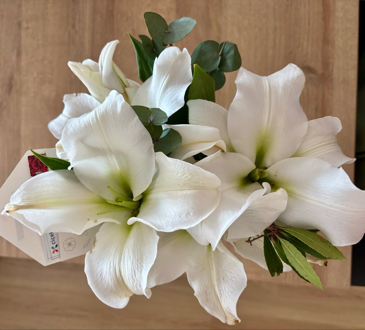 cerenozsd's tweet photo. Seaside beginnings &amp; anniversary lilies. 🤍✨ https://t.co/cHkY36LtDC