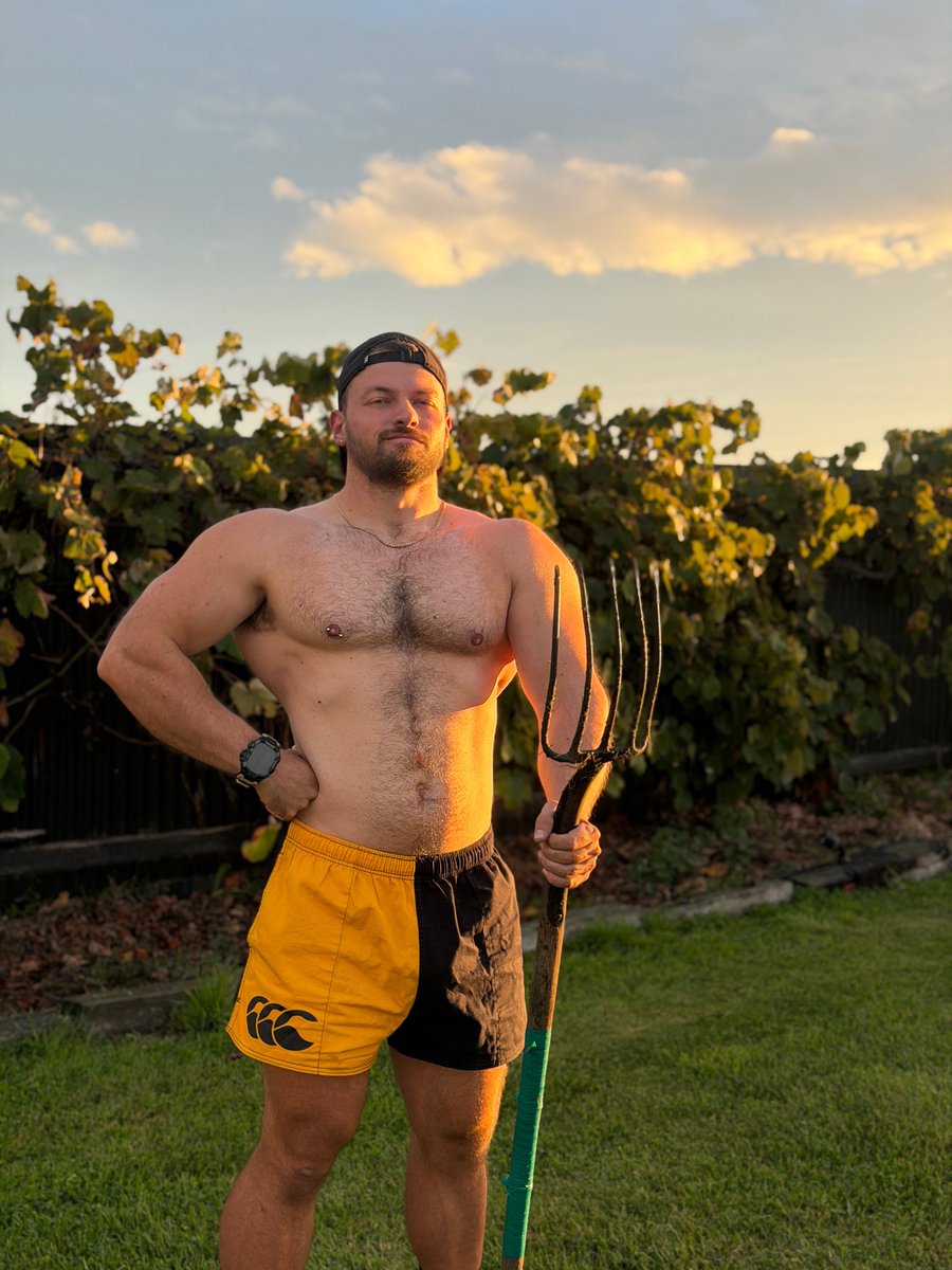 Maximillian Small tweet media