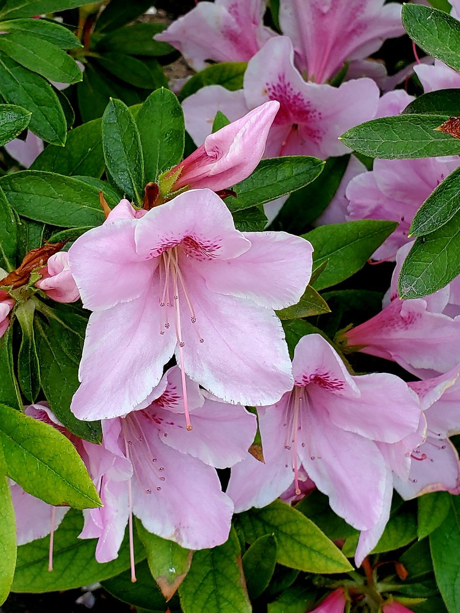 うるうる tweet media