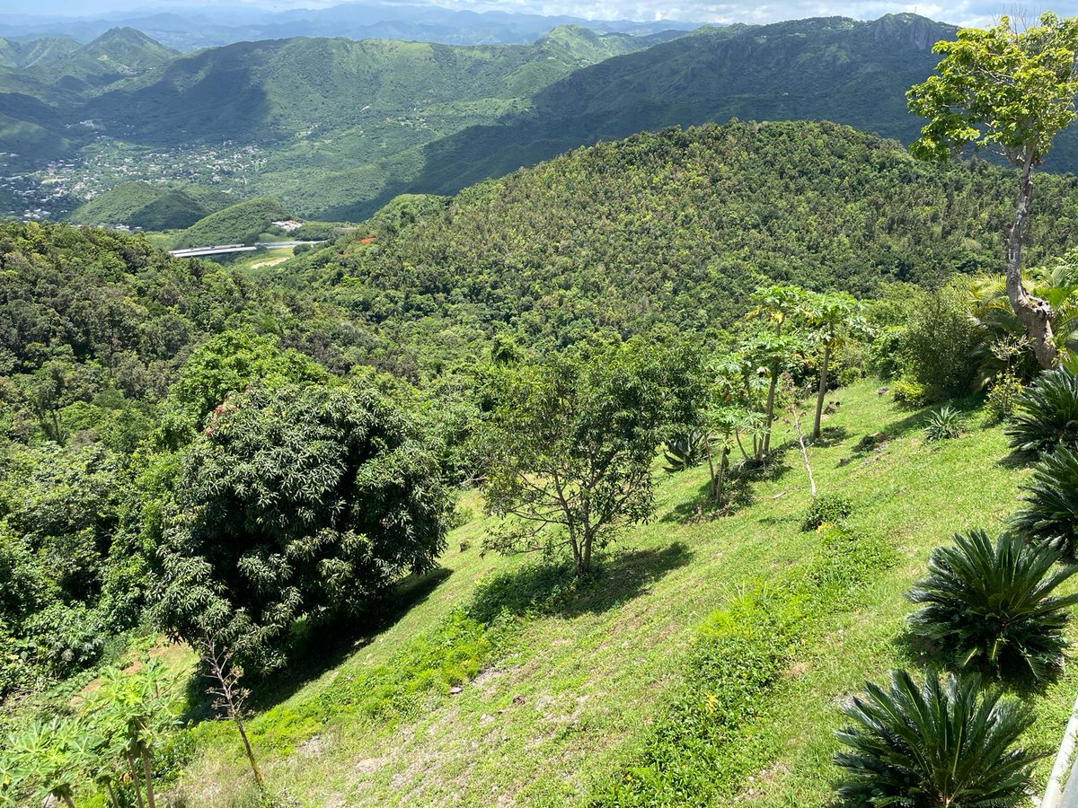 efrealestate's tweet image. FINCA BARRIO CERCADILLO- CAYEY 
PRECIO DE VENTA: $1,150,000 
CORREDOR: ERNESTO PEREIRA 787-717-0317 / 787-269-2488 
Preciosa finca de 13.9 cuerdas en Cercadillo. Área de tranquilidad y vistas panorámicas impresionantes. Excelente para construir de la casa de sus sueños. L. #E-339
