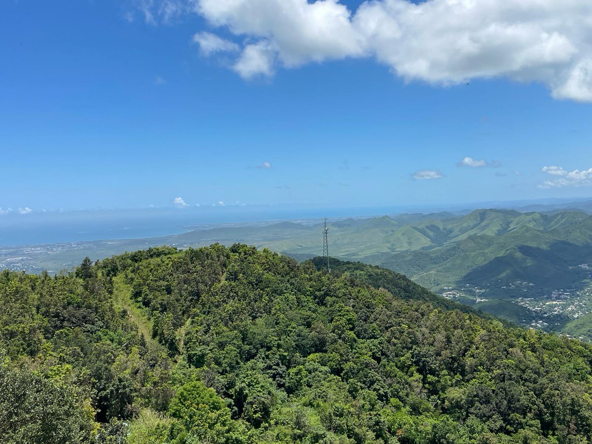 efrealestate's tweet image. FINCA BARRIO CERCADILLO- CAYEY 
PRECIO DE VENTA: $1,150,000 
CORREDOR: ERNESTO PEREIRA 787-717-0317 / 787-269-2488 
Preciosa finca de 13.9 cuerdas en Cercadillo. Área de tranquilidad y vistas panorámicas impresionantes. Excelente para construir de la casa de sus sueños. L. #E-339