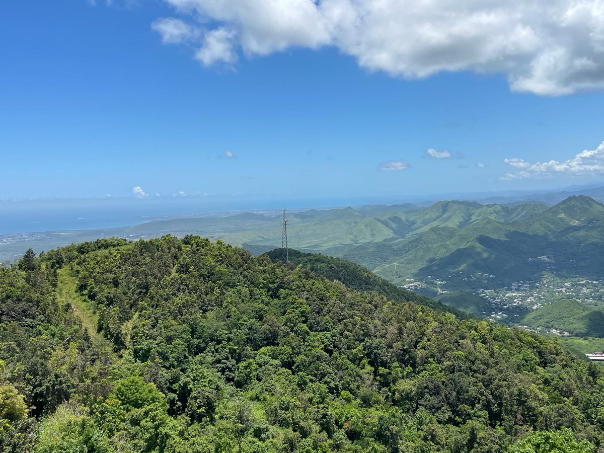 efrealestate's tweet image. FINCA BARRIO CERCADILLO- CAYEY 
PRECIO DE VENTA: $1,150,000 
CORREDOR: ERNESTO PEREIRA 787-717-0317 / 787-269-2488 
Preciosa finca de 13.9 cuerdas en Cercadillo. Área de tranquilidad y vistas panorámicas impresionantes. Excelente para construir de la casa de sus sueños. L. #E-339