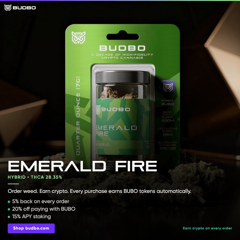 Budbo tweet media