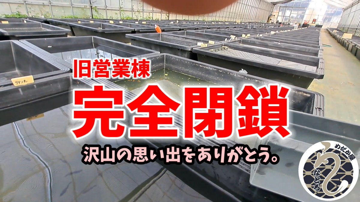 安らぎAQUAちゃんねる【YouTube】 tweet media