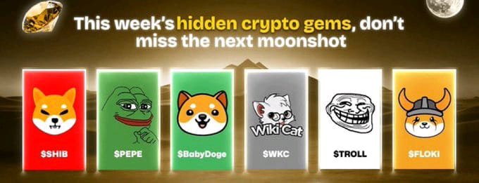 AlphaCryptoGems's tweet photo. Which is your most favourite? 

 $CKOM #Ping #WIF #Drover #Aido #BabyDoge #Doge

#Milo #PolyDoge  #Shib $Dogs

#Elon #Kishu #Floki #BONK https://t.co/ay0RSZCc8O
