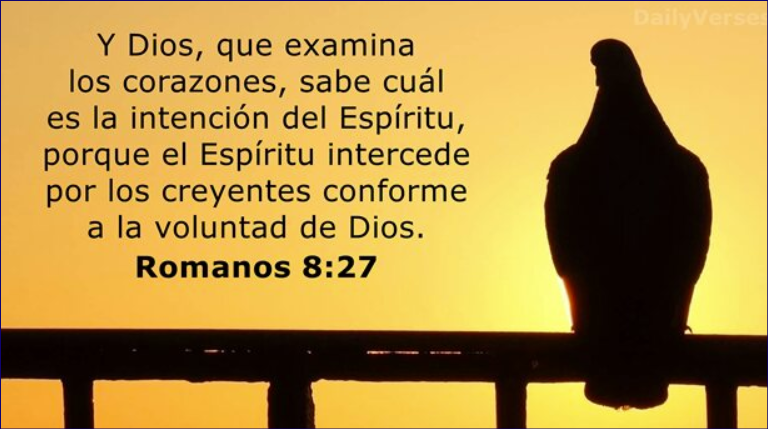 Gabriela Muñoz tweet media