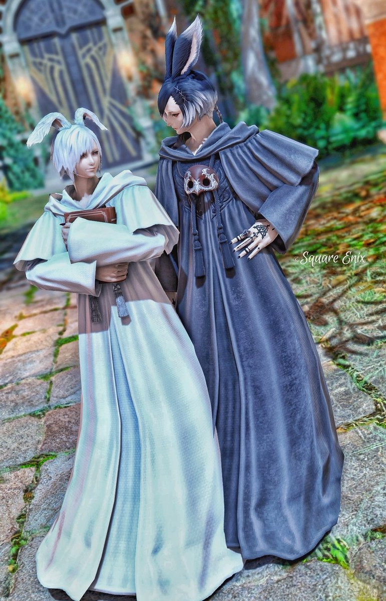 𝐄𝐜𝐡𝐨 tweet media