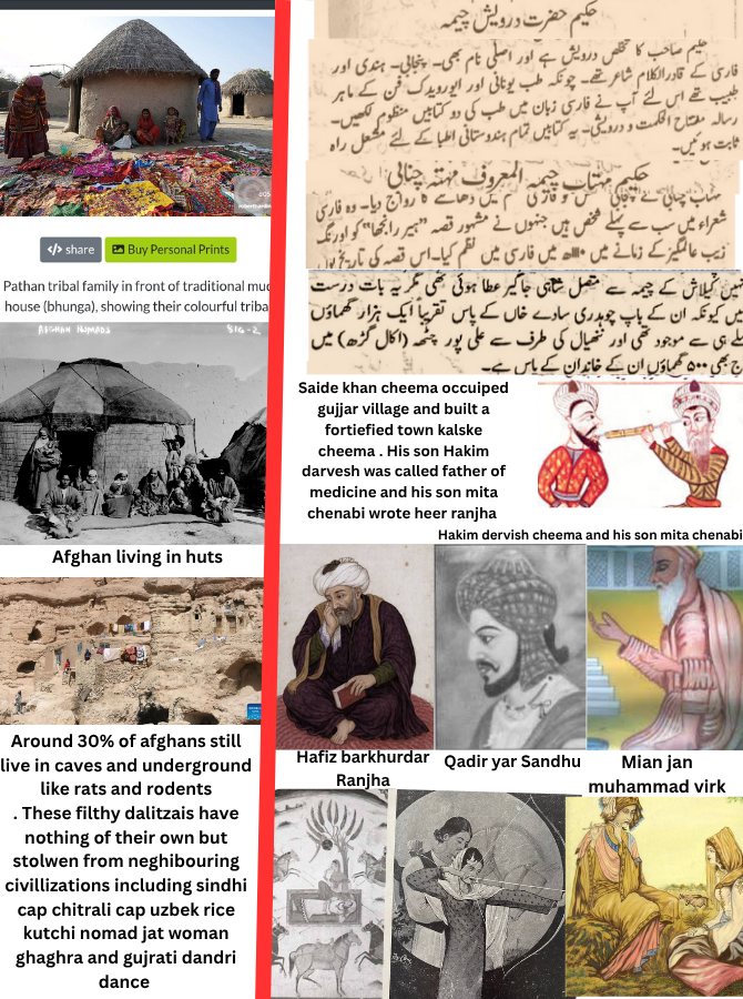 Sudodudo tweet media