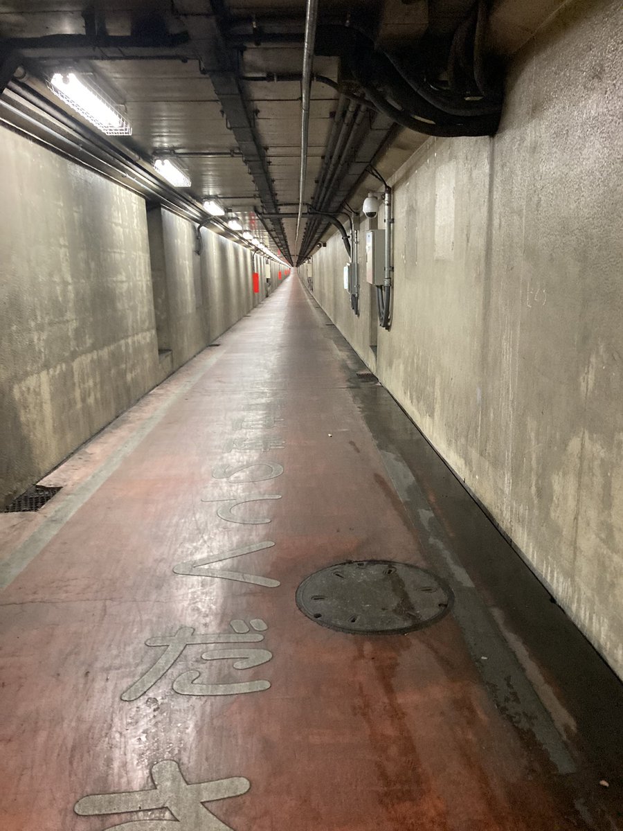 ikuokoge@夫婦で音楽ライブしながら日本一周（バンライフ） tweet media