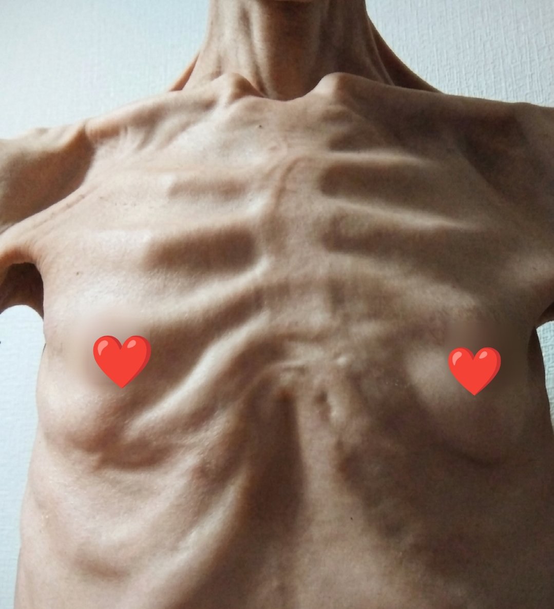 🇯🇵東雲長閑 tweet media