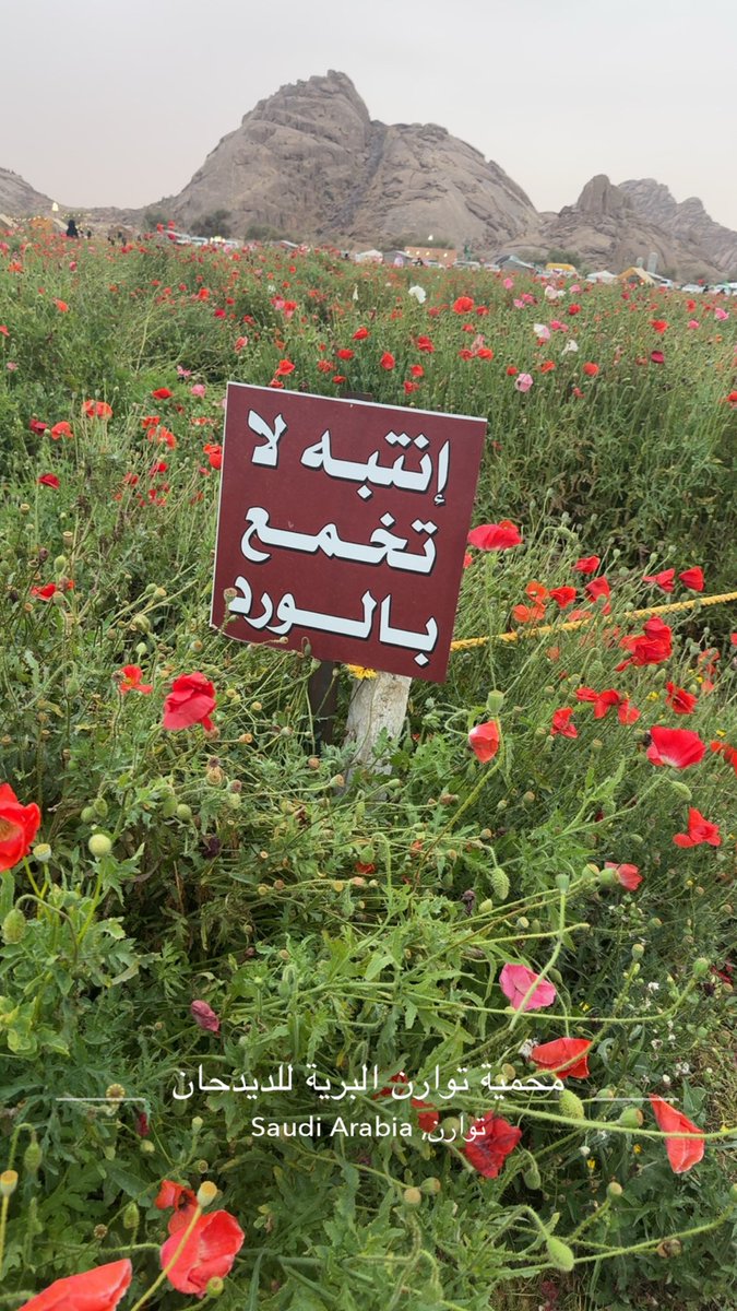 عبدالله سالم الدودان الشمري tweet media