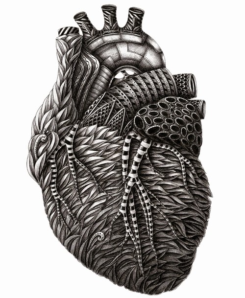 (press the link, to see of this)
The #Heart.  🍃️🌺️🍃️
Stylish #Anatomy #Doodle Drawing. By Alex Konahin designstack.co/2013/07/stylis…