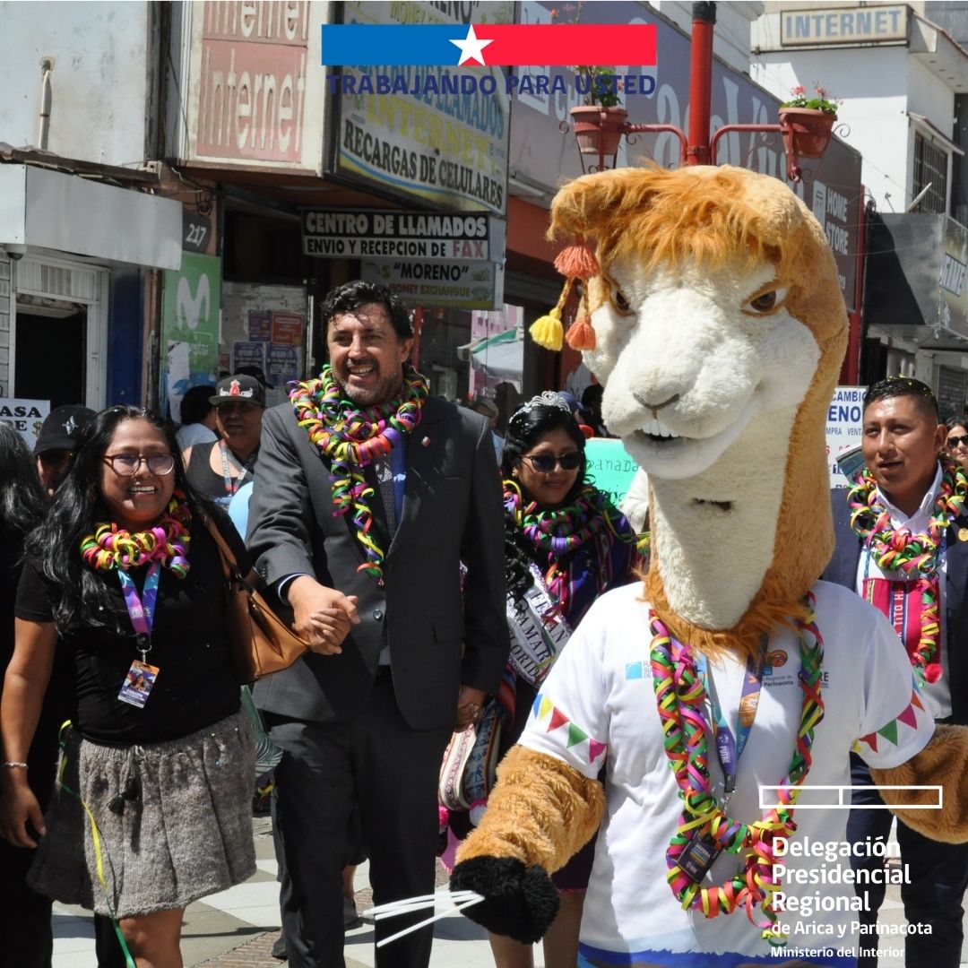 Delegación Presidencial Reg. de Arica y Parinacota tweet media