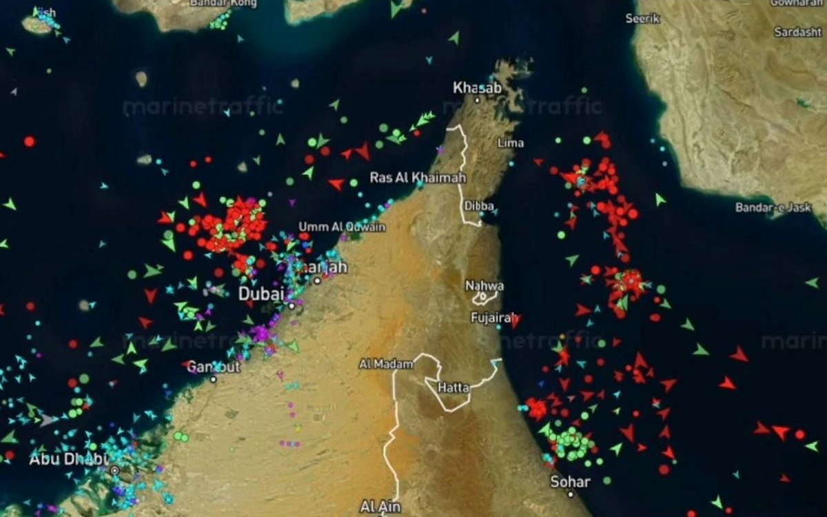 Turhan Bozkurt tweet media