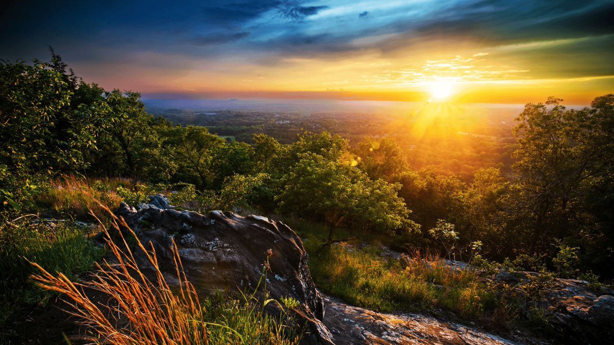 DogwoodAlliance's tweet image. If you live in #Georgia, you can #takeaction today to urge Gov. Kemp to veto House Bill 134. If signed, the bill will give millions of #taxpayer dollars to the wood pellet industry, destroying more #forests in the state. dogwoodalliance.org/actions/veto-g…