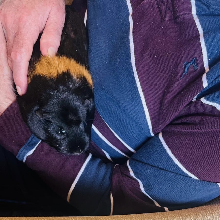 Cedar Court Nursing Home tweet media