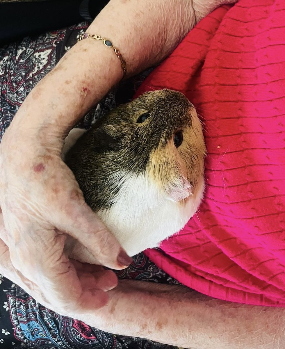 Cedar Court Nursing Home tweet media