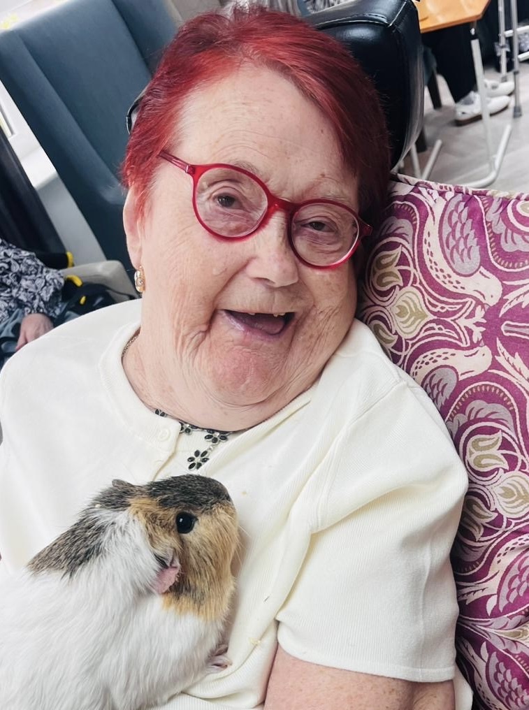 Cedar Court Nursing Home tweet media