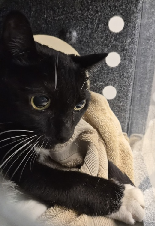 Jack5928 tweet media