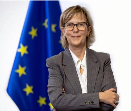 European Union in Canada tweet media