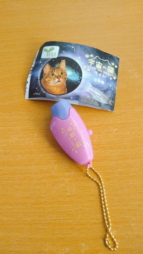 ナオキチ tweet media