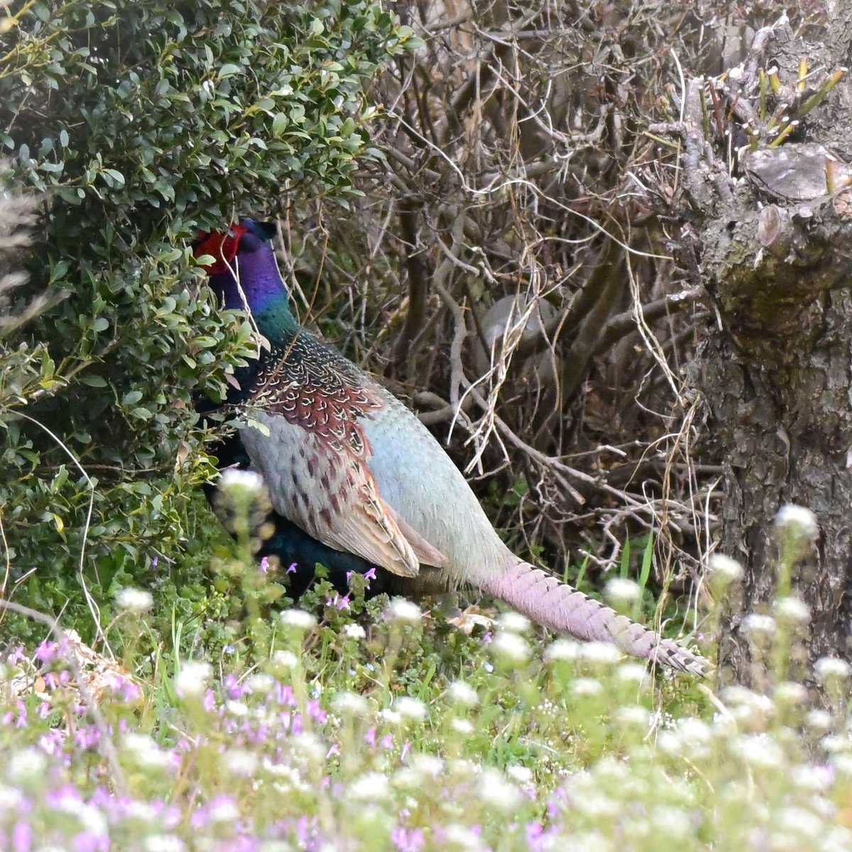 手がカイロ tweet media