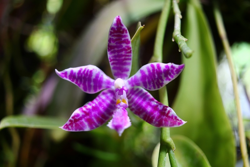 【NK】 tweet media