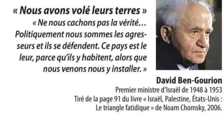 Papillon tweet media