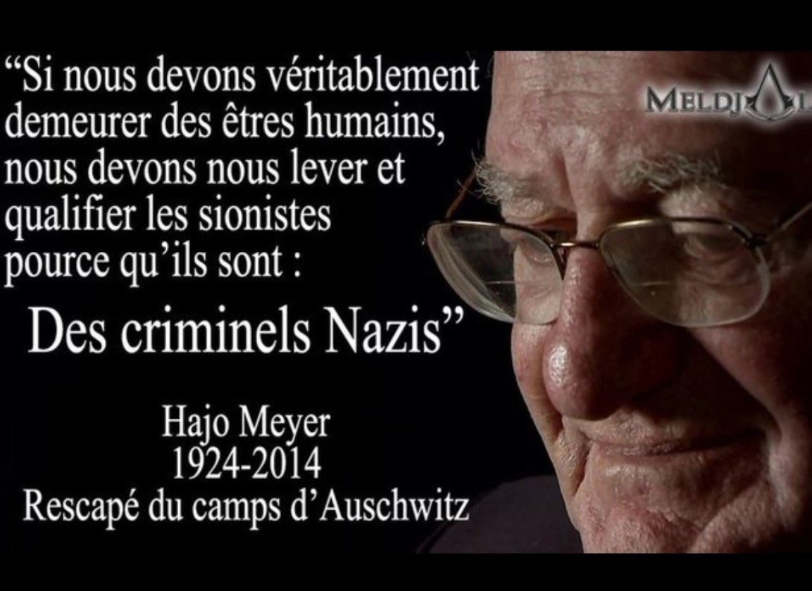 Papillon tweet media