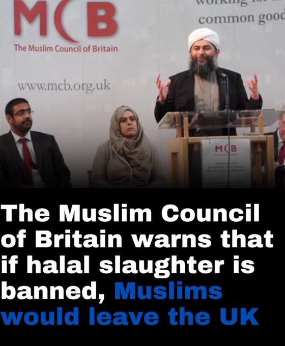 N Ecc 🏴󠁧󠁢󠁥󠁮󠁧󠁿🏴󠁧󠁢󠁥󠁮󠁧󠁿🏴󠁧󠁢󠁥󠁮󠁧󠁿 tweet media