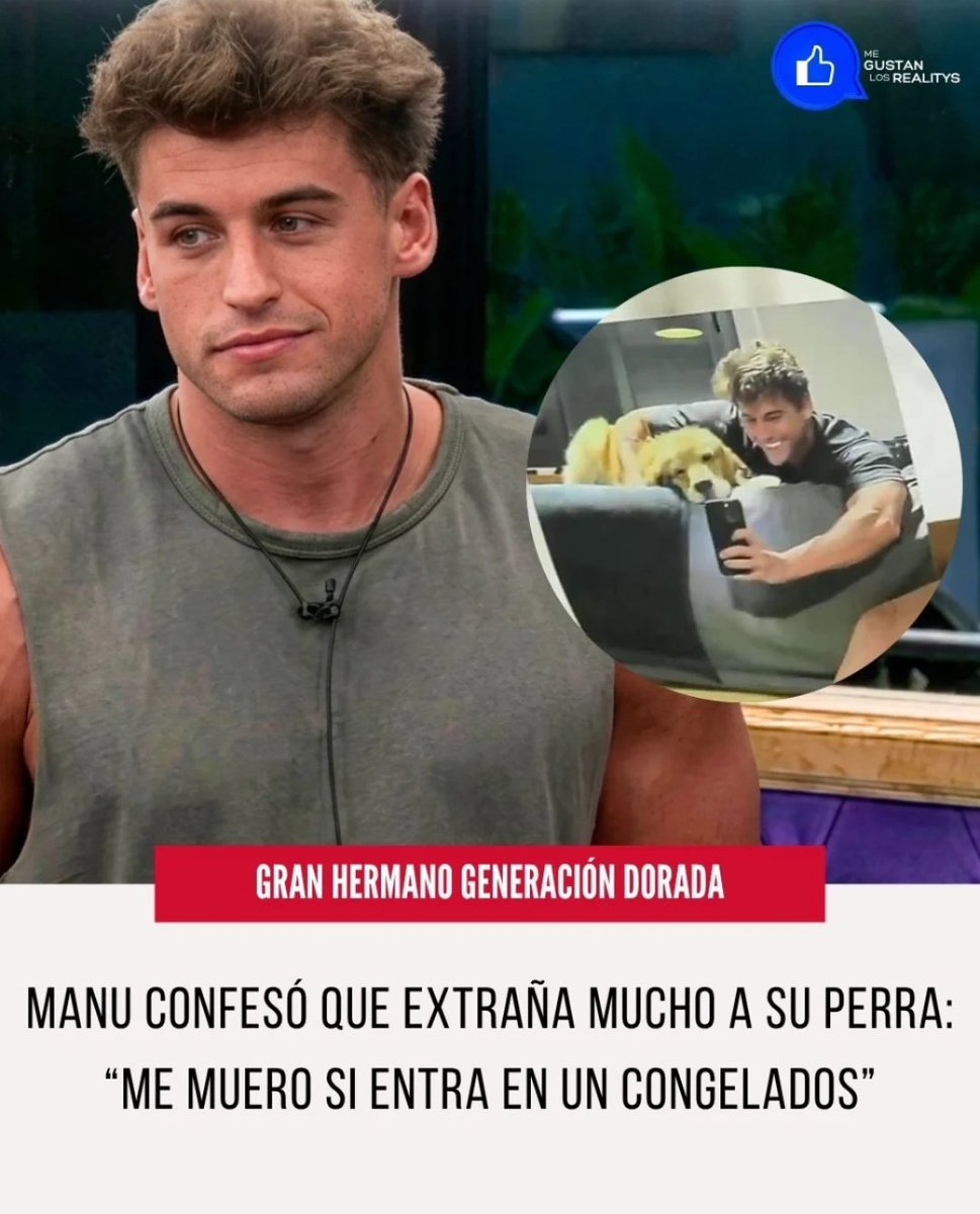 decime amor tweet media