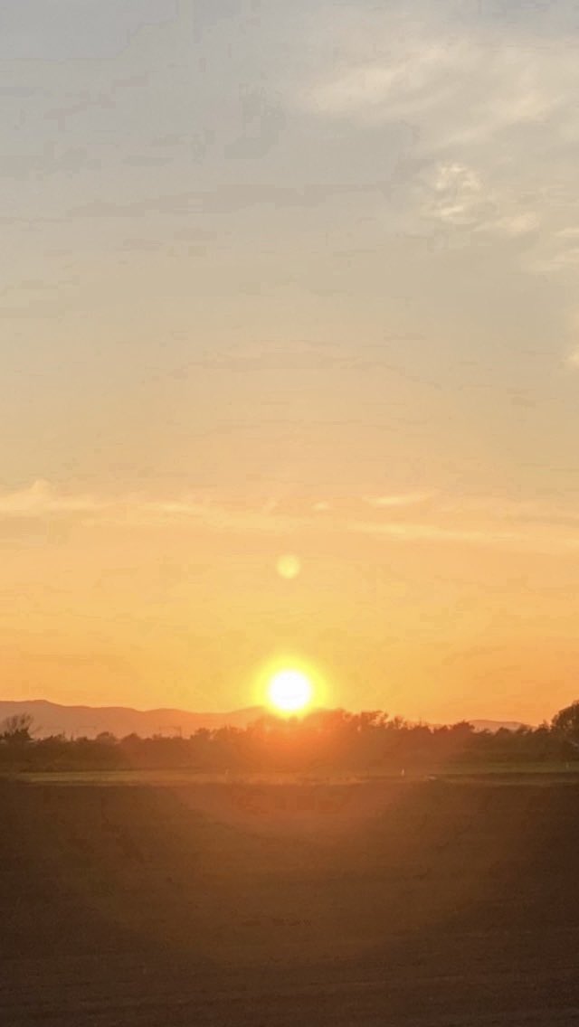 いっく❣️*･゜ﾟ･*:.｡..｡.:*･' tweet media