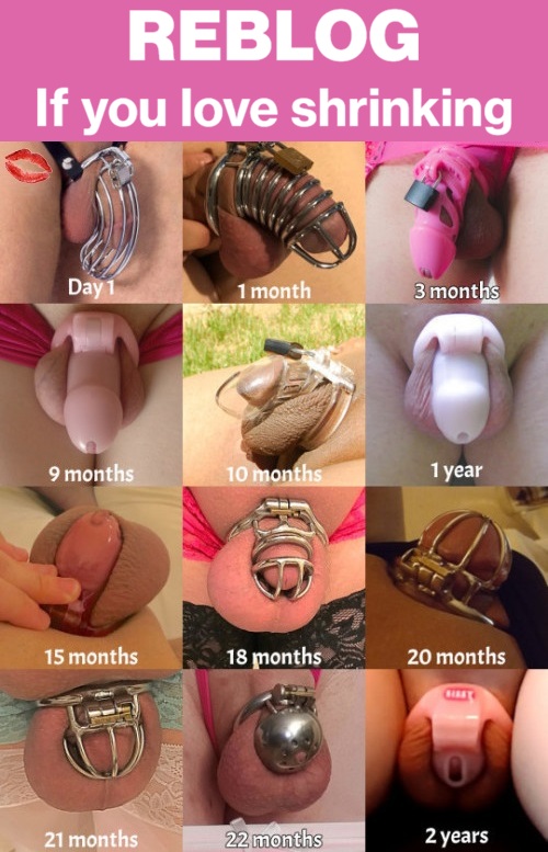 FemDomish Guide💋 tweet media