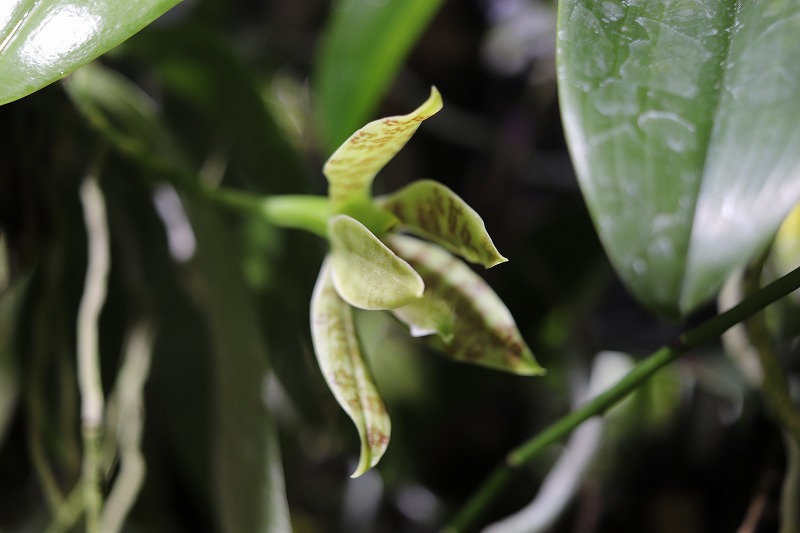 【NK】 tweet media