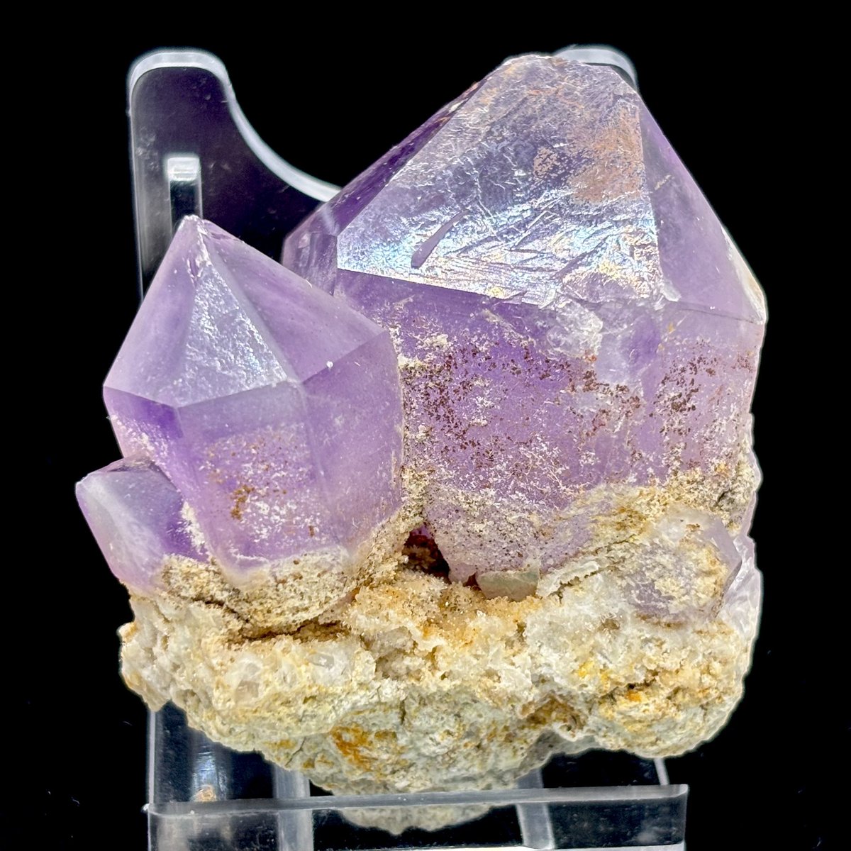 まーぼー tweet media