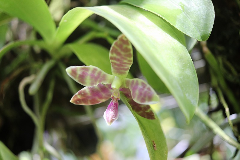 【NK】 tweet media