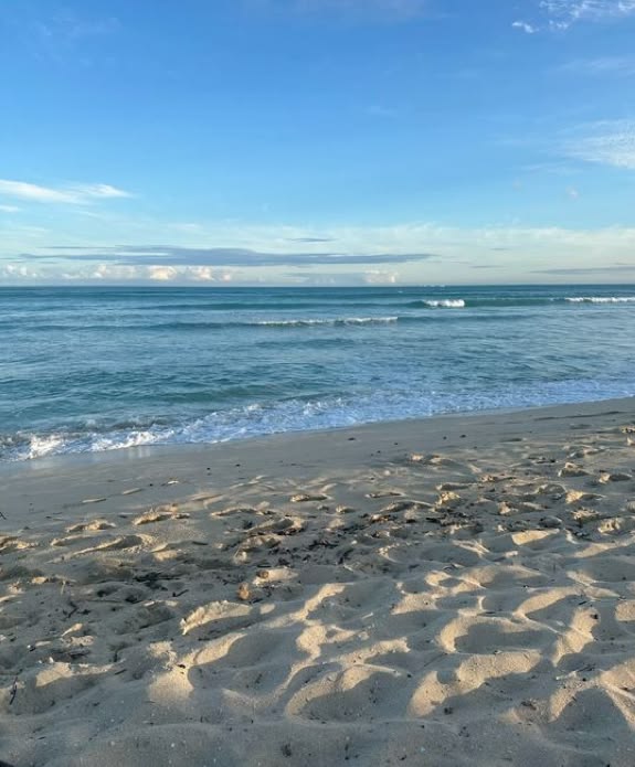 𝑺𝒆𝒗𝒆𝒓𝒖𝒔 tweet media