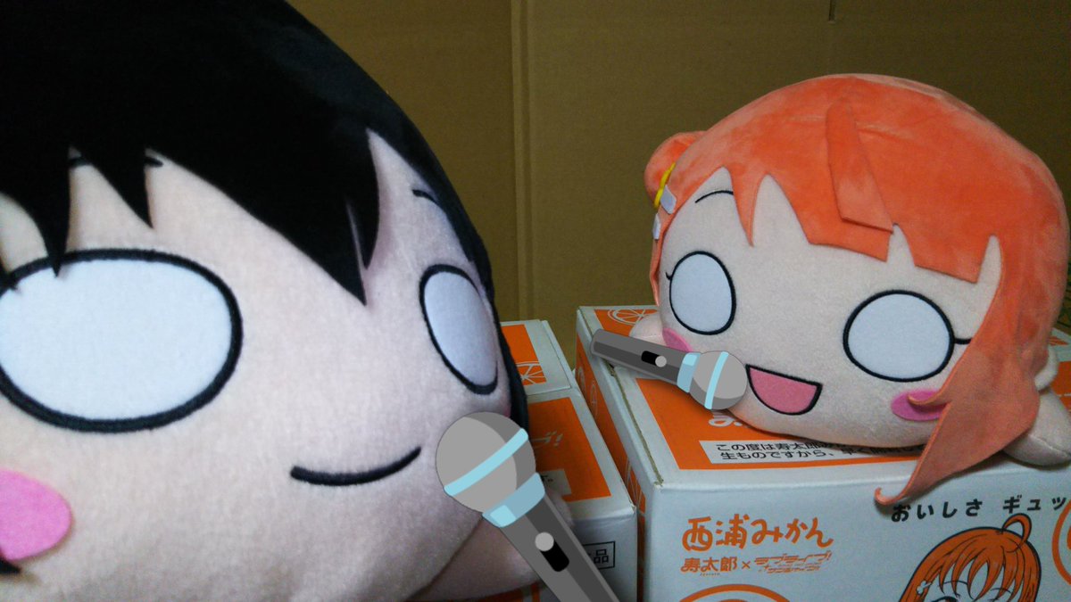 哀愁の寝そべらー@寝そべり割烹着隊長官 tweet media