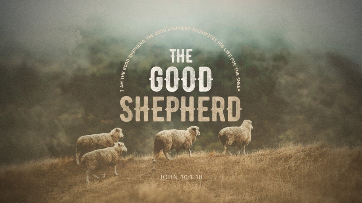 shepherdshearta's tweet photo. Shepherd's Heart Anglican Church: April 25th and 26th 2026: Bike Event and Good Shepherd Sunday - https://t.co/Lpyd5JbKpj https://t.co/lhTU52OKya
