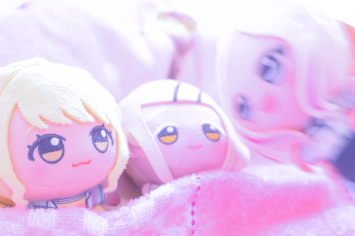 大葉しそ(ぬい活) tweet media