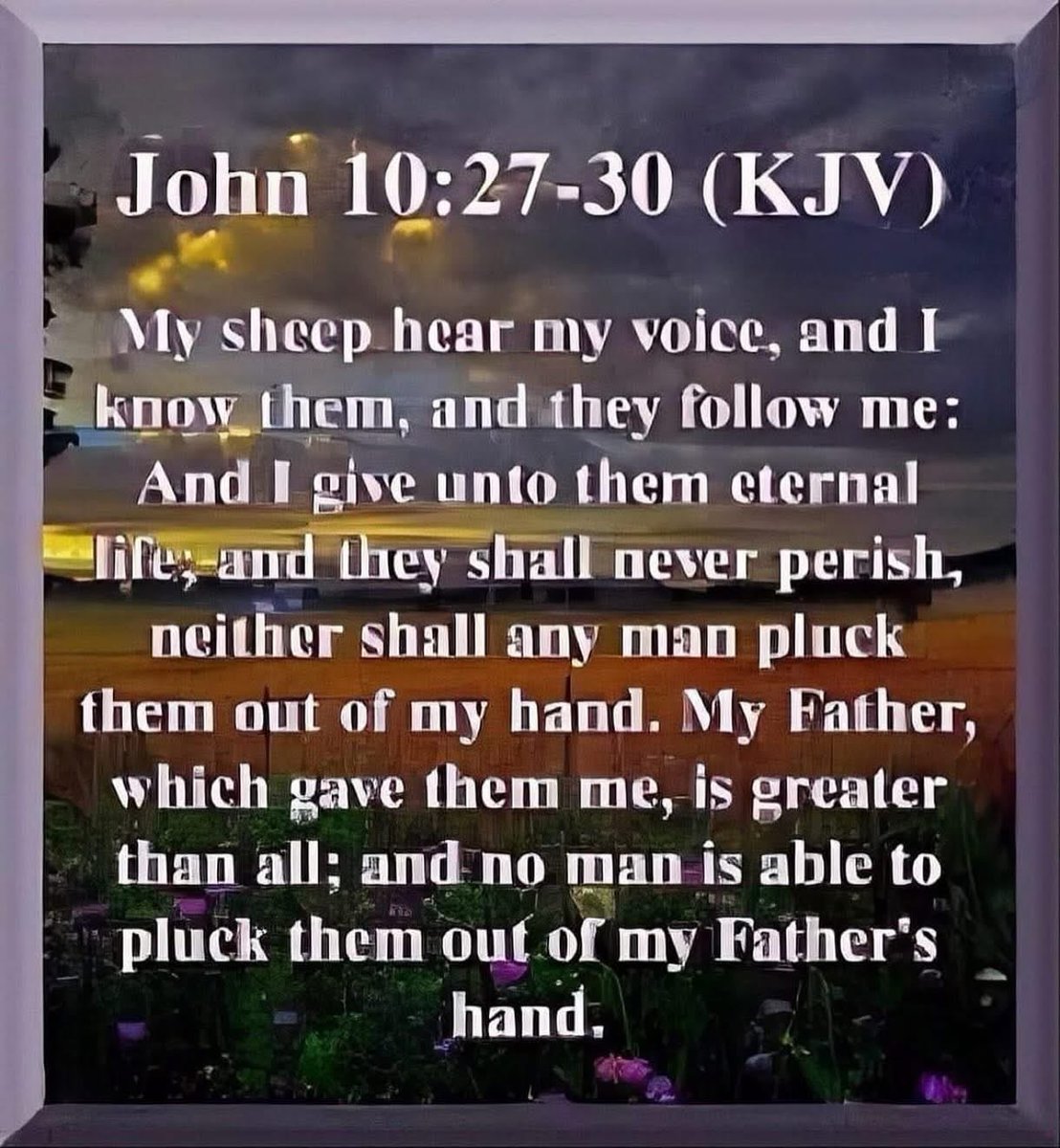 Marty Mosley (@martymosley) on Twitter photo 