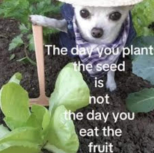 🦈unna🦈 tweet media