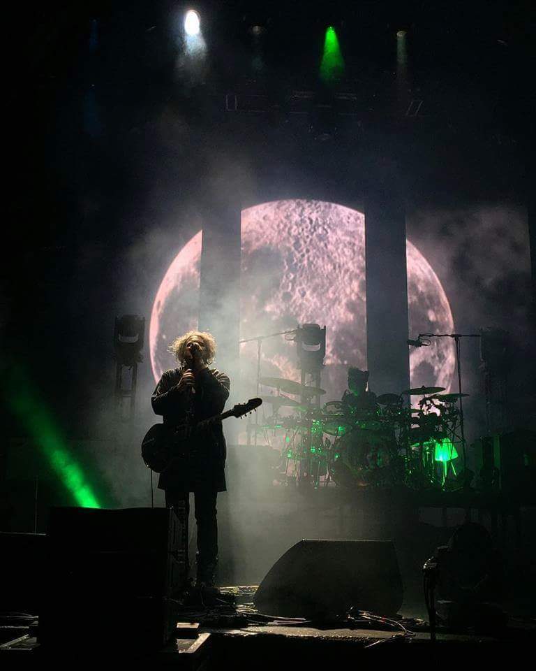 felix cureal 😺🎵🎸📻⚽️🏈🇲🇽 tweet media