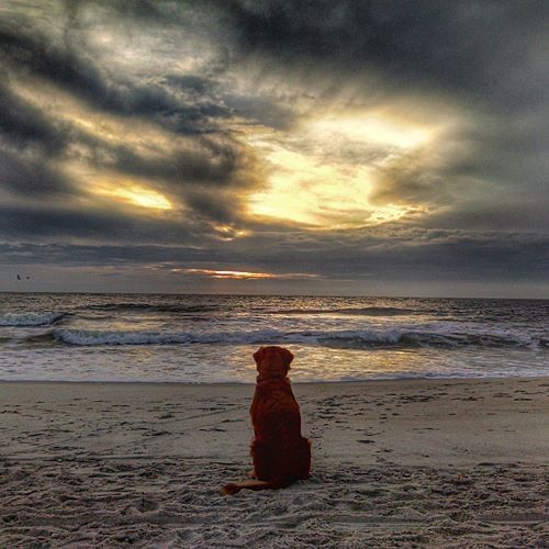 💔🐾
A nossa evolução como seres humanos, deveria começar pelo respeito a quem só nos oferece amor.Amar os animais vai além de palavras bonitas: está nas atitudes, no cuidado, na empatia e na recusa em aceitar qualquer forma de sofrimento.
#NãoMaisMausTratos ❤️